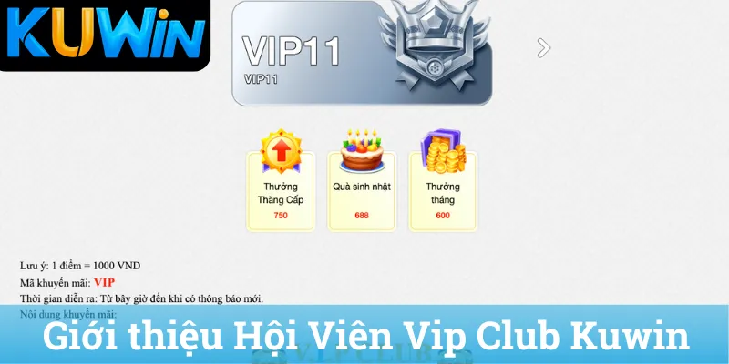 Giới thiệu Hội Viên Vip Club Kuwin