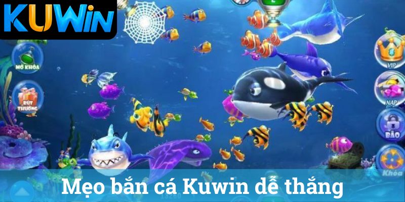 Mẹo bắn cá Kuwin dễ thắng